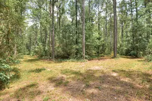 395 New Cut Rd, Edgefield, SC 29824 - Photo 68