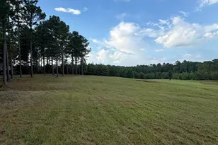 395 New Cut Rd, Edgefield, SC 29824 - Photo 86