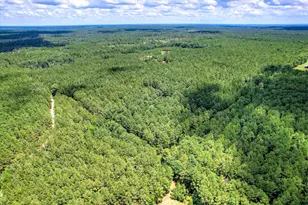 395 New Cut Rd, Edgefield, SC 29824 - Photo 54