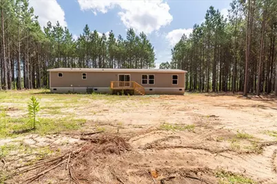 832 Horses Neck Road, Swansea, SC 29160 - Photo 4