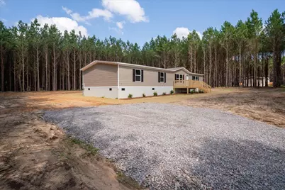 846 Horses Neck Road, Swansea, SC 29160 - Photo 2