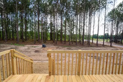 846 Horses Neck Road, Swansea, SC 29160 - Photo 6