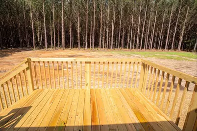 846 Horses Neck Road, Swansea, SC 29160 - Photo 8