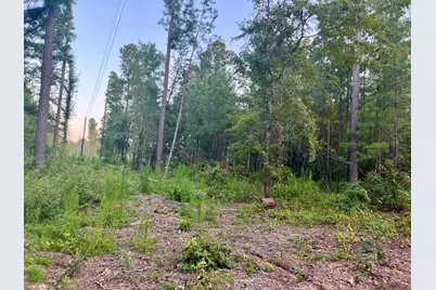 00 Wendell Lane, Wagener, SC 29164 - Photo 2