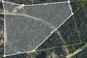 17A Mt Zion Rd, Trenton, SC 29847 - Photo 1