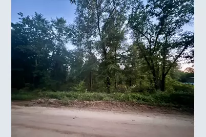 00 Long Branch Road, Wagener, SC 29164 - Photo 2