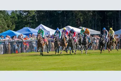835 Brisbane Court, Graniteville, SC 29829 - Photo 22