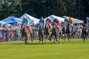 835 Brisbane Ct, Graniteville, SC 29829 - Photo 22