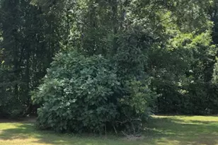 187 Rambo Rd, Allendale, SC 29810 - Photo 18