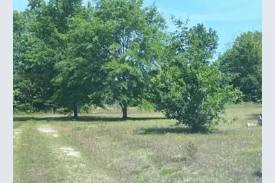 187 Rambo Road, Allendale, SC 29810 - Photo 20