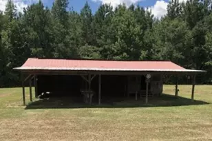 187 Rambo Rd, Allendale, SC 29810 - Photo 22