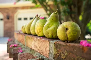 670 Partridge Bend Rd, Aiken, SC 29803 - Photo 8