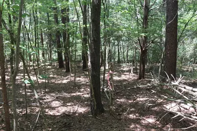 Lot C Camp Creek Road, Lancaster, SC 29720 - Photo 10
