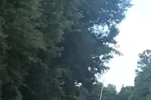 Tbd Izlar St, Blackville, SC 29817 - Photo 1