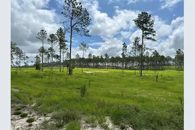 00Lot77 Laughlin Loop, Aiken, SC 29805 - Photo 4