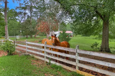 711 Augusta St Ext, McCormick, SC 29835 - Photo 6