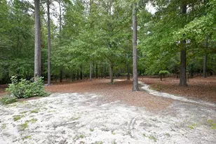 707 Mt Ebal Rd, Batesburg-Leesville, SC 29006 - Photo 6