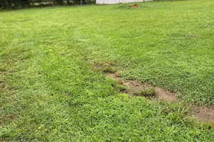 514 Old Trail Rd, Beech Island, SC 29842 - Photo 16