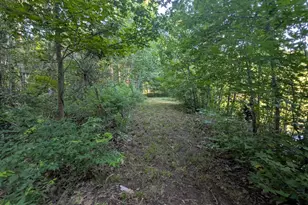 10 New Market Rd, Trenton, SC 29847 - Photo 52