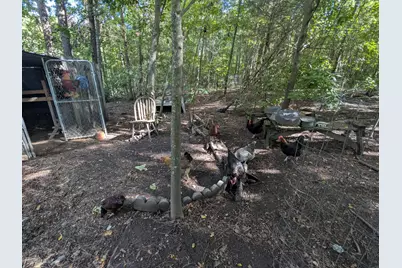 10 New Market Road, Trenton, SC 29847 - Photo 34