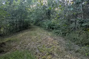 10 New Market Rd, Trenton, SC 29847 - Photo 54