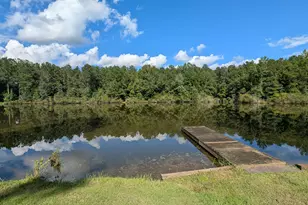 10 New Market Rd, Trenton, SC 29847 - Photo 30