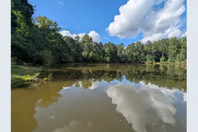 10 New Market Road, Trenton, SC 29847 - Photo 32