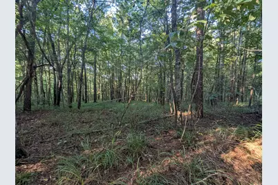 10 New Market Road, Trenton, SC 29847 - Photo 50