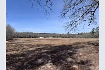 830 Colbert Bridge Road Road, Windsor, SC 29856 - Photo 6