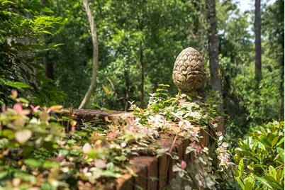 1506 Dibble Road SW, Aiken, SC 29801 - Photo 64