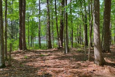 107 Stonebridge Loop, Mccormick, SC 29835 - Photo 28