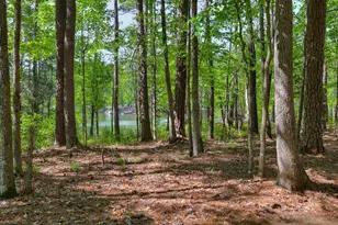 107 Stonebridge Loop, Mccormick, SC 29835 - Photo 28