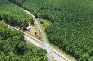 1659 S Steel Creek Rd, Martin, GA 29836 - Photo 14