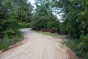 3574 State Rd S-6-81, Williston, SC 29853 - Photo 16