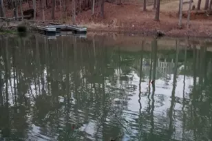 116 State Rd S-33-298, Modoc, SC 29838 - Photo 26