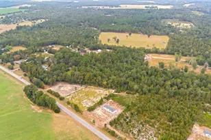 6597 Wagener Rd, Wagener, SC 29164 - Photo 34