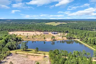 3323 Laughlin Loop, Aiken, SC 29805 - Photo 48