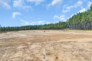 3323 Laughlin Loop, Aiken, SC 29805 - Photo 44