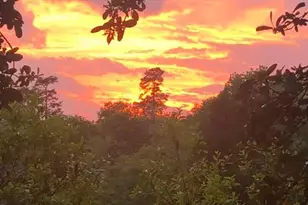 103 Colleton Ave SW, Aiken, SC 29801 - Photo 24