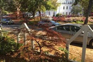 103 Colleton Ave SW, Aiken, SC 29801 - Photo 2