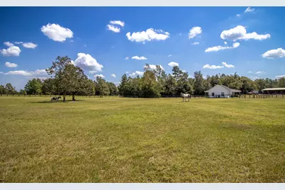 571 Oak Ridge Club Road, Windsor, SC 29856 - Photo 48