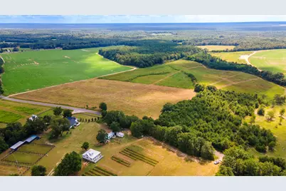 Lot 4 Union Academy Road, Salley, SC 29137 - Photo 12