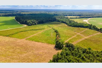 Lot 4 Union Academy Road, Salley, SC 29137 - Photo 4