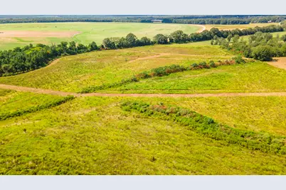 Lot 4 Union Academy Road, Salley, SC 29137 - Photo 8