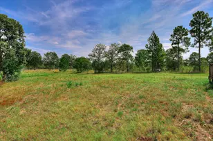 403 N Windsor Rd, Windsor, SC 29856 - Photo 30