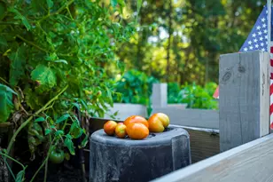 32 White Herron Cir, Aiken, SC 29801 - Photo 50