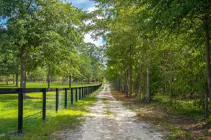 1107 Gray Mare Hollow Rd, Aiken, SC 29803 - Photo 76