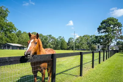 1107 Gray Mare Hollow Road, Aiken, SC 29803 - Photo 50
