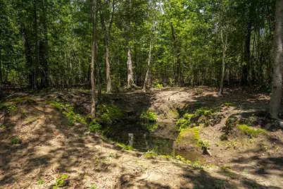 1107 Gray Mare Hollow Road, Aiken, SC 29803 - Photo 82