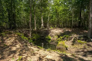 1107 Gray Mare Hollow Rd, Aiken, SC 29803 - Photo 82
